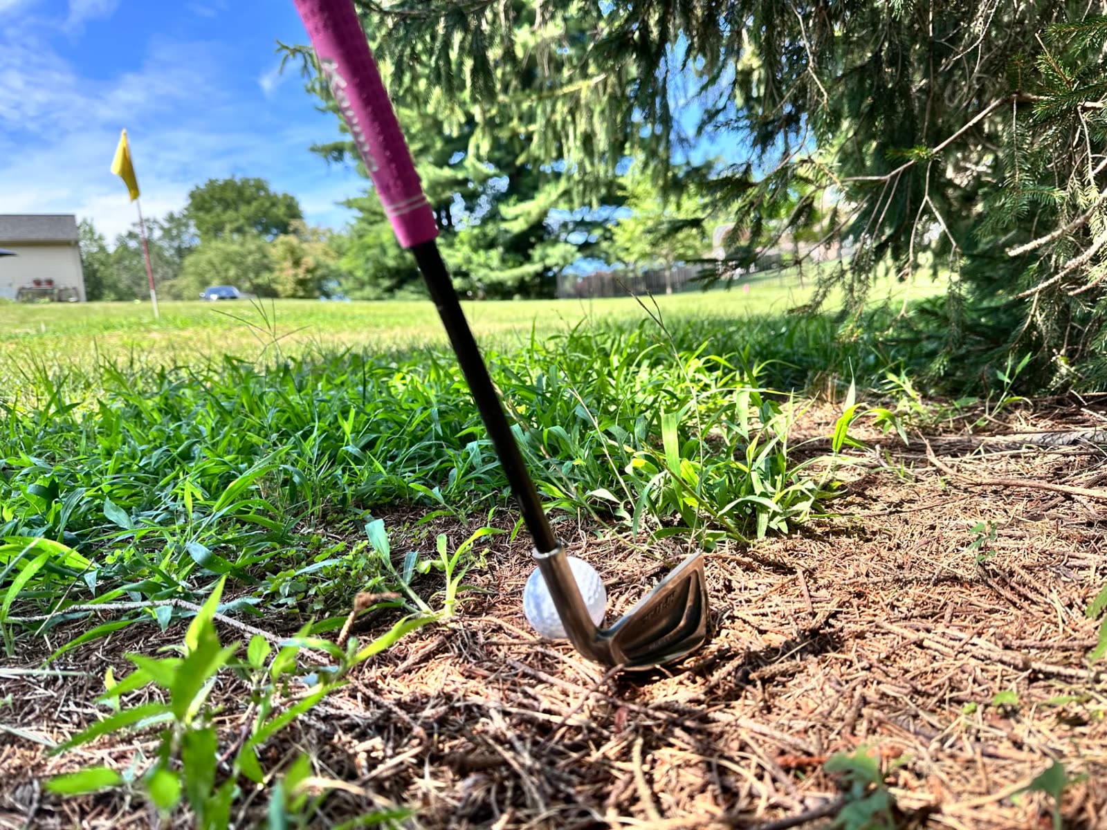A golf ball sitting in pine straw under low spruce branches, the Nibbler prototype addressed behind it, flagstick in the distance.